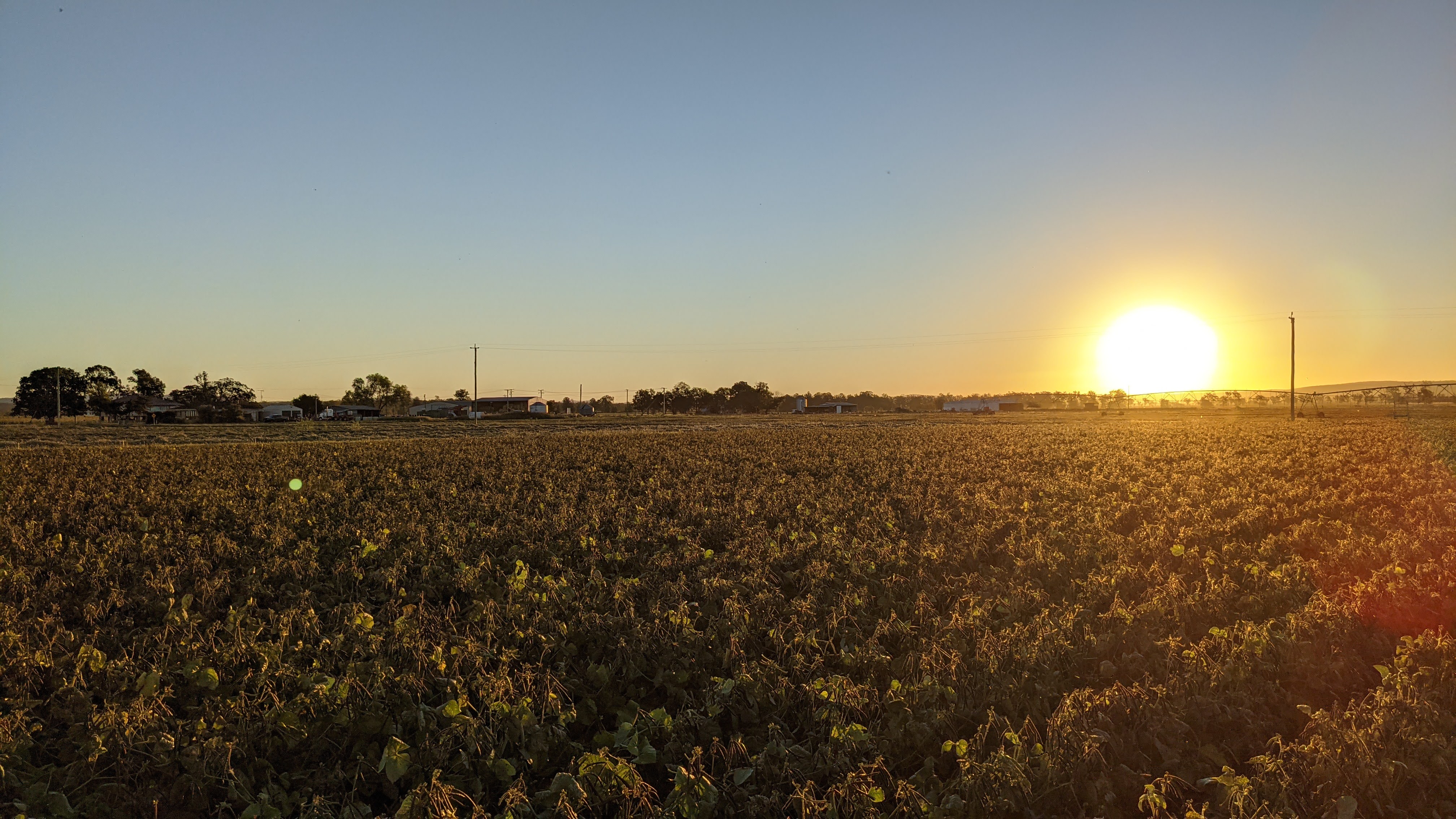 Forest Hill Agricultural Research Station