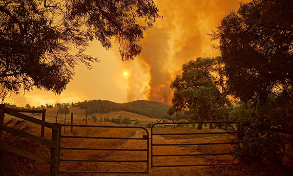 Bushfire viewed from a farm gate burning over nearby hills with smoke billowing into the sky.