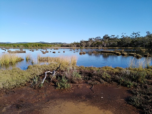 Natural wetlands provide many ecosystem services.