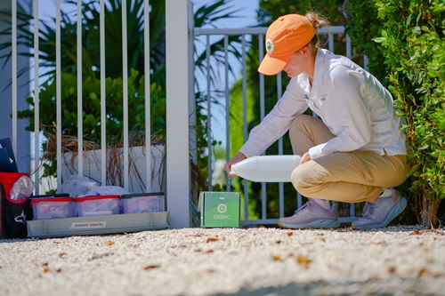 The "just-add-water" product allows for the production of Friendly™ non-biting male mosquitoes in a short time following the addition of water. 