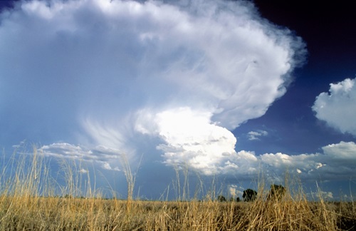 Unexpected storms can influence the climate outcomes of La Niña and El Niño events.
