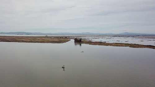 CSIRO’s specialized water quality sensor installed in the San Joaquin River Delta. 