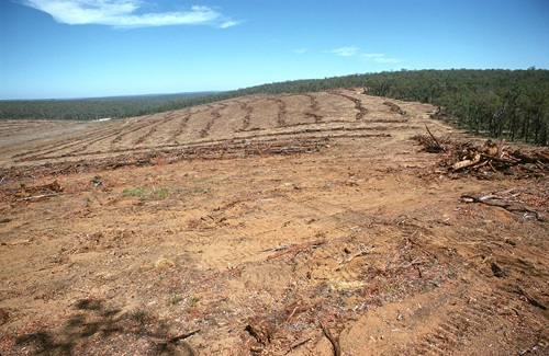 There has been long-term decline in CO2 emissions from land use changes, such as deforestation.