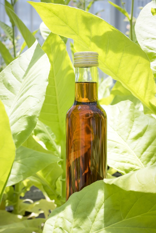 Oil from leaf biomass.