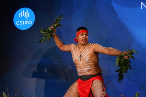 Live performances also offered an immersive experience of Aboriginal and Torres Strait Islander culture.  