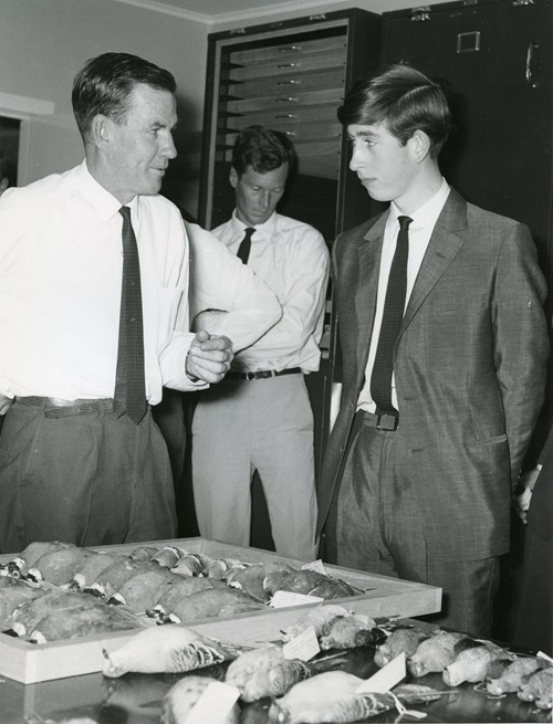 In February 1966 a young Prince Charles visited the CSIRO Division of Wildlife Research Division at Gungahlin near Canberra and was given a tour by the Divisional Chief Harry Frith.   ​ 