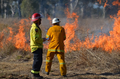 For almost 70 years we have been working collaboratively in bushfire-research, from understanding and modelling impact of bushfires on the environment to post-fire assessments and improving infrastructure design.