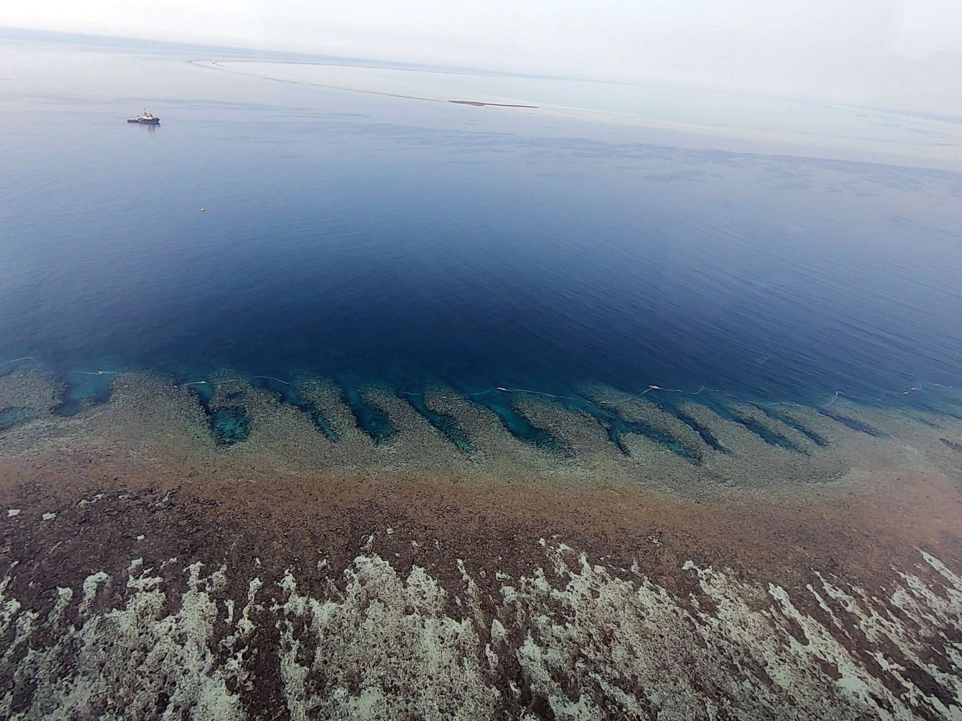 Harvesting Coral Spawn Slicks Using Industrial Techniques - CSIRO