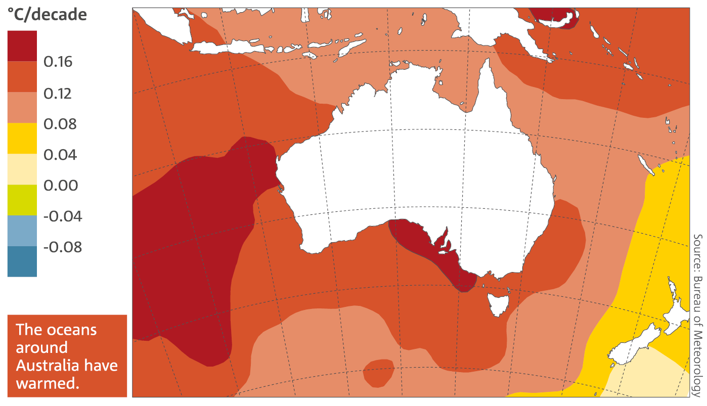Trends in sea surface temperature in the Australian region from 1950 to 2015.