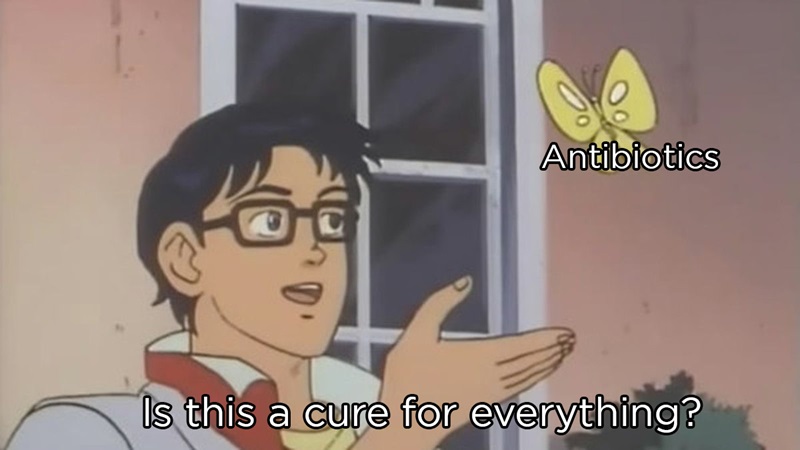 The anime guy meme seeing 'Antibiotics' buttefly and asking 'Is this a cure for everything?'