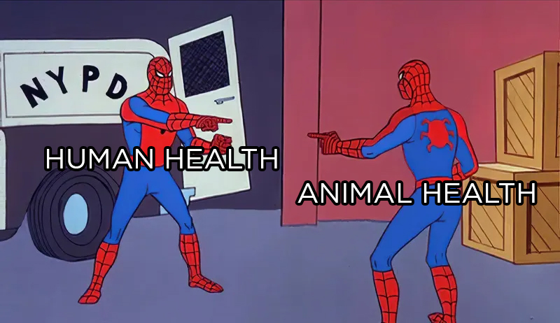 Spiderman pointing at spiderman meme - where one is human health and the other is animal health