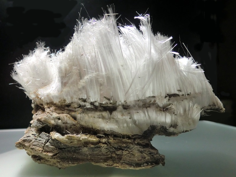 Long, fine, white crystals that look like hairs, standing upright on top of a host rock.