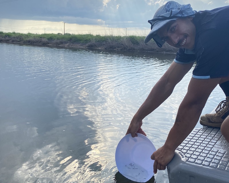 Isaak releasing small prawns into a calm body of water under a cloudy sky