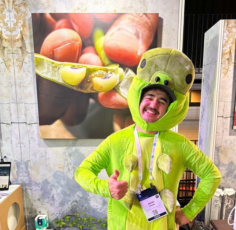 Person in costume standing infront of artwork depicting cowpea. 