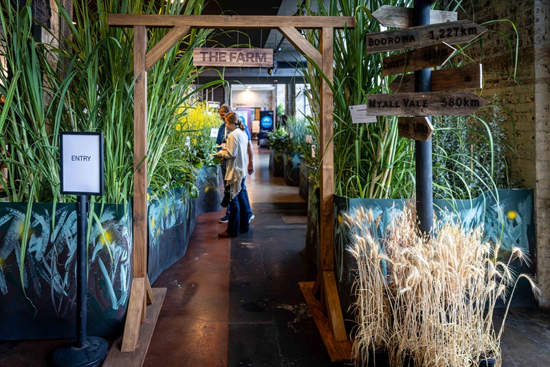 Entry to exhibition showcasing different crops 