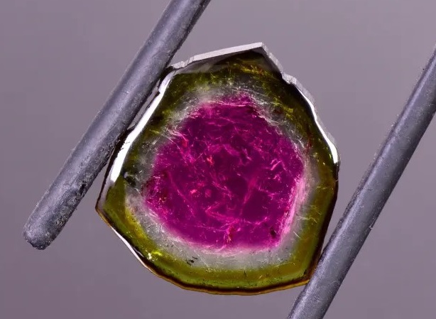 a sample of tourmaline crystal held in tweezers. The crystal is roundish in shape and is green on the outside, graduating to a bright pink in the middle.