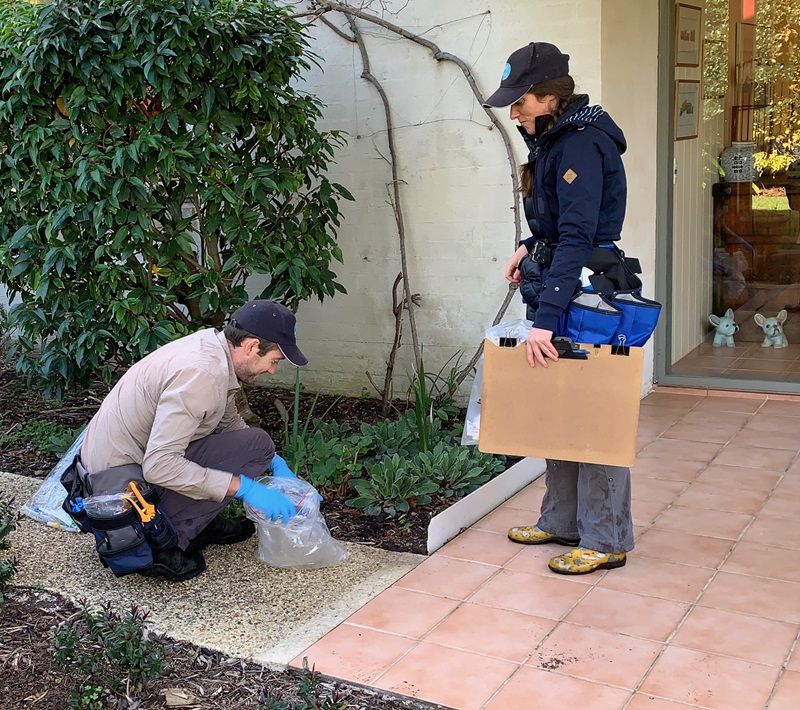 Man and women in a house garden collecting samples.