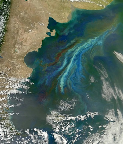 Satellite image of a massive phytoplankton bloom off of the Atlantic coast of Patagonia, Argentina, in 2010.