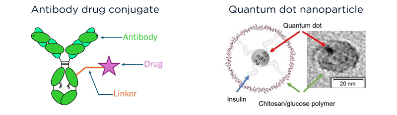 Diagram showing a quantum dot nanoparticle and antibody drug conjugate