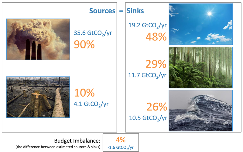 Illustrated ledger showing carbon sources against sinks in the global carbon budget.