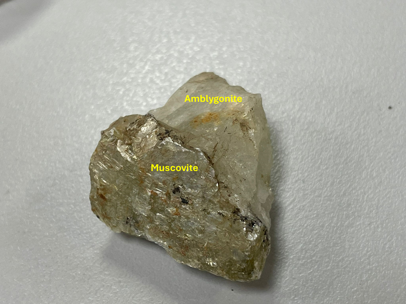 A milky-white stone, the top portion is labelled amblygonite and the bottom face of the stone is labelled muscovite