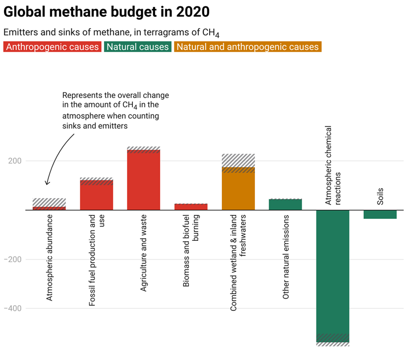 A chart showing the global methane budget in 2020, with three causes listed: Anthropogenic causes, Natural causes, and Natural and anthropogenic causes.