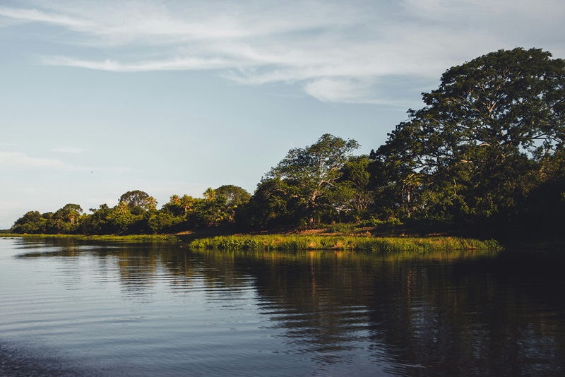 River and wetlands in Brazil.