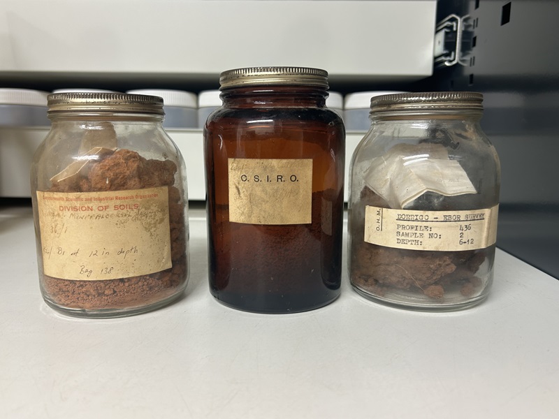 Three jars containing soil samples