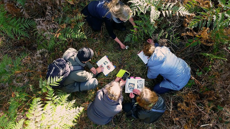 A group of people crouching over documents on the ground in a natural bushland setting.