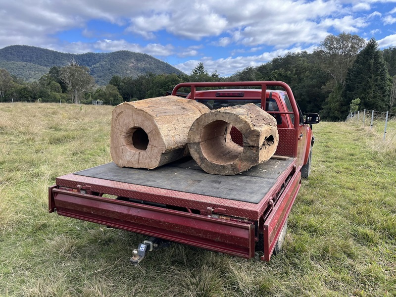 Two large hollowed out logs on the back of a ute, being transported to the river where they will become habitat for fish.