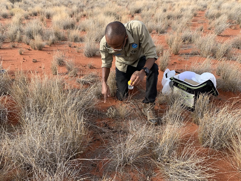 A man kneeling down on the ground in arid Australia, holding a sample jar and pointing to the ground.