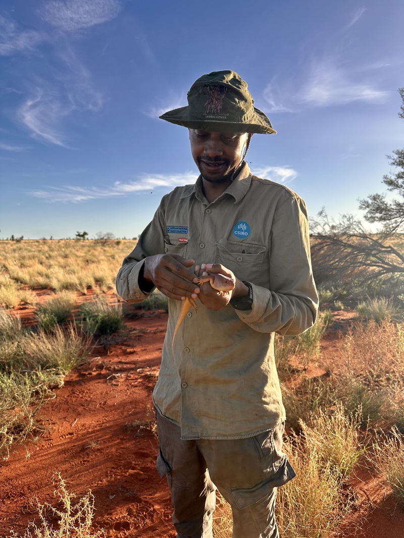 A man standing in arid Australia holding a Tjakuṟa lizard.