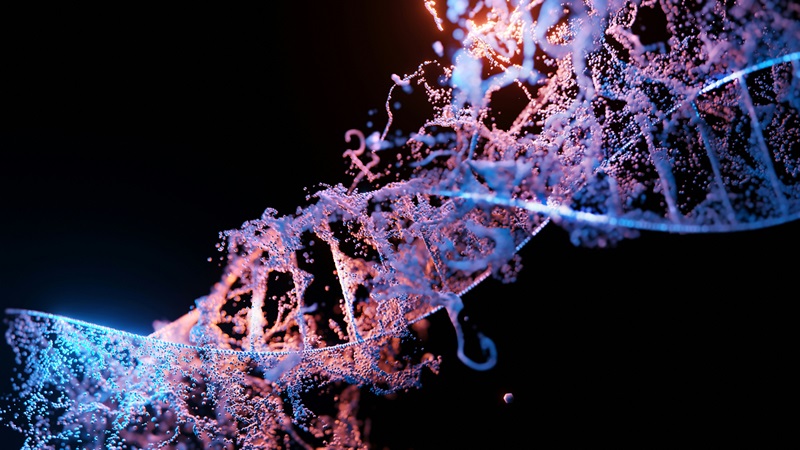 Image of a strand of DNA