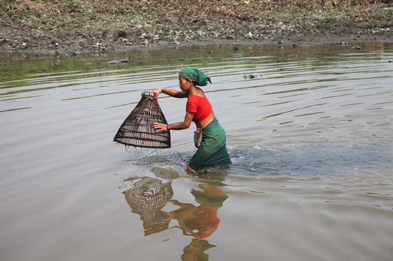 A women fishing in the Brahmaputra River