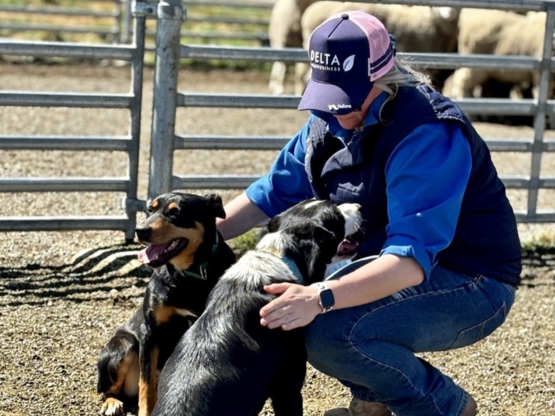 Woman patting two dogs