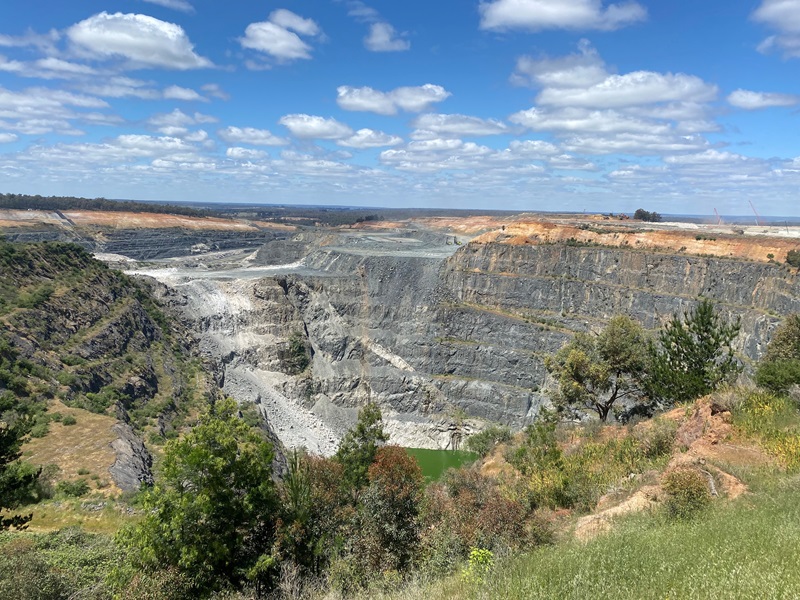 Greenbushes mine.