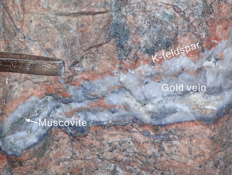 Typical characteristics of potassic alteration and associated gold veins in a lode gold deposit