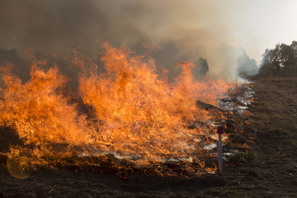 Experimenting With Fuel And Fire - CSIRO