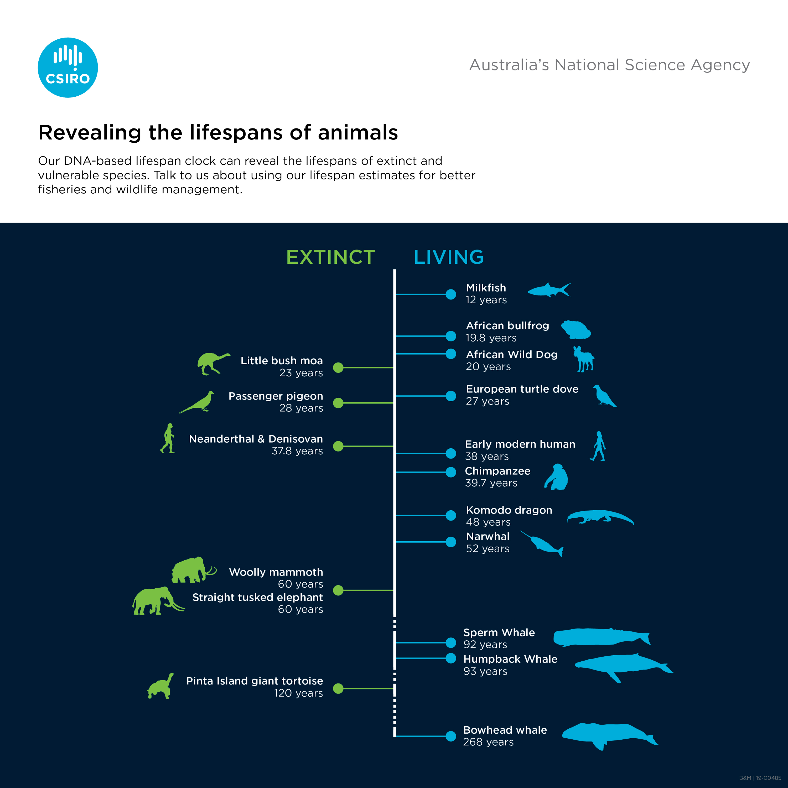 'clock' predicts lifespan in animals Mirage News